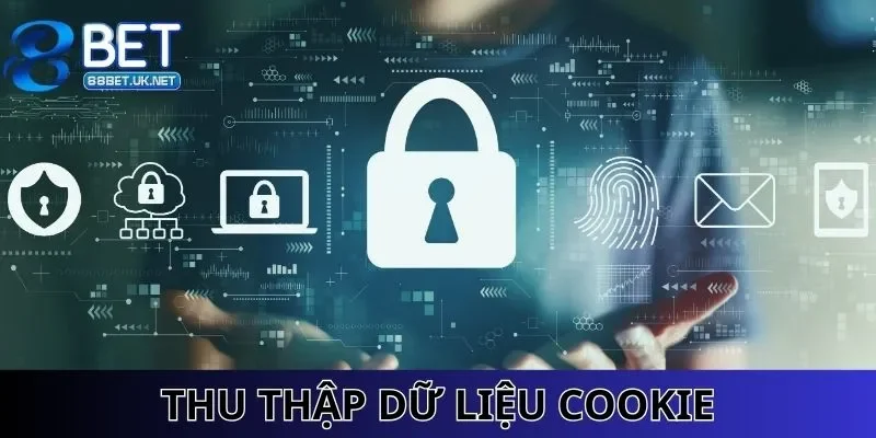 Địa điểm thu thập dữ liệu cookie ngay khi truy cập