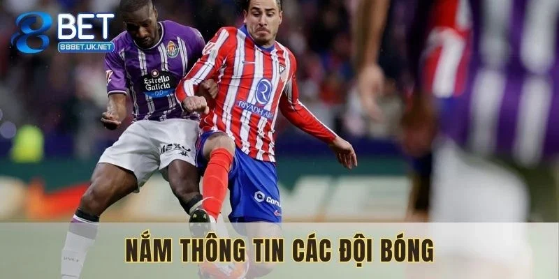 Nắm bắt những thông tin quan trọng của các đội
